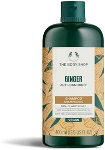 The Body S