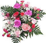 Flowers Delivery Next Day Prime UK - Pink Mixed Carnation Bouquet - Long Lasting & Pretty Bunch Delivered for Birthday Thank You or Thinking of You Gift