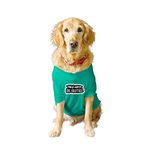 Ruse Basic Crew Neck Big Brother Printed Half Sleeves/Apparel/Clothes/T-Shirt Gift for Dogs.Colour-Aqua Green//Large (Full Grown Desi/Stray, Doberman etc.)