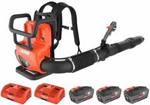 ECHO 56V 195 MPH 795 CFM X Series C