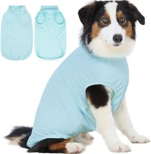 IECOii Dog