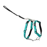 PetSafe Teal 3-in-1 Harness, Large