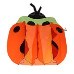 IMAGE 3D Kite Large orange ladybird Breeze Beach Kites with Huge Frameless Soft Parafoil Giant,Gift for Kids,Family