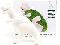 Gift Republic Dinosaur T-Rex Chia-S