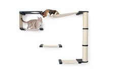 CatastrophiCreations Climb - Multiple-Level Cat Hammock & Climbing Activity Center Wall-Mounted Cat Tree Shelves