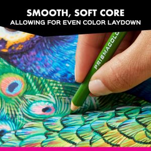Prismacolor Premier Colored Pencils Set – 24 Vibrant Colors