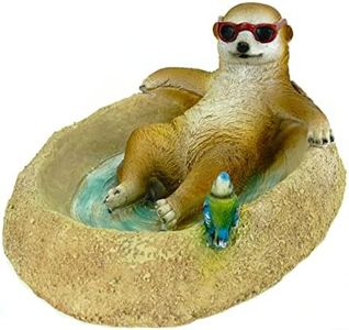 Kremers Schatzkiste Figura de jardín de suricatos, 31 cm, diseño de gato de mar