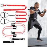 Everlast FIT Body Weight Suspension Trainer - Interchangeable Resistance Tubes & Extension Anchor Strap, Portable & Secure - Full-Body Workout, Mobility & Flexibility, Pilates, Home Gym Accessories