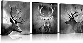 Canvas Wall Art Painting Black And White Abstract Deer Picture For Living Room Animals Pictures Photo Prints On Canvas for Home Modern Decoration Framed Ready to Hang