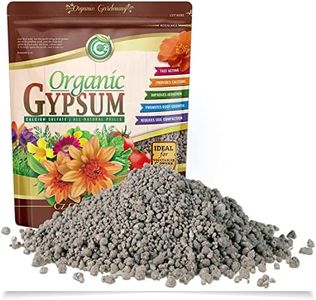 Gypsum Gra