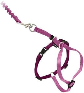 PetSafe Co