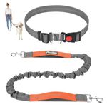 Pawaboo Hands-Free Dog Leash with Waist Belt, Elastic Dog Waist Leash with Wider Belt, Reflective Dog Running Belt Absorbing Shock, Durable Padded Handle Bungee Leash for Dogs (25-150 lbs, Grey)