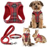 GAMUDA Small Dog Harness Collar and Leash Set, Step in No Chock No Pull Soft Mesh Adjustable Dog Vest Harnesses Plaid Reflective for Dogs Puppy Cats Kitten Rabbit (Red, XXXS)