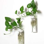 PACDONA 2 Pack Wall Hanging Planters Glass Terrariums - Rectangle Shape Plants Holders Air Plants Succulents Planters Flowers Glass Wall Vase Containers for Plant, Decoration and Display