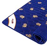 Coir-on Slim Foldable PU Foam 1 inch Diwan Size Mattress (72X48X1 Inches,Blue)