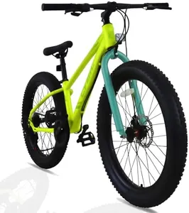CYBIC 24 i
