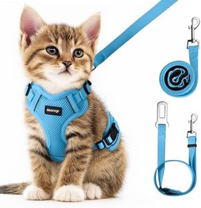 Cat Harness and Leash Set for Walking Escape Proof, Improved Four Place Adjustable Cat Car Harness, Soft Kittens Vest with Reflective Strip for Cats, Comfortable Outdoor Vest, Blue, XS