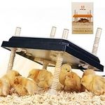 Brooder Heater for Chicks: Chick Br