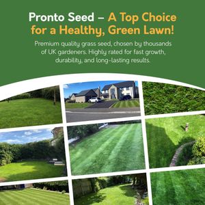Pronto Seed Grass Seed 400g – Fast Growing Lawn Repair
