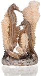 biOrb Fish Tank Decorations, Seahorse Aquarium Ornament (Natural Colour), Beautifully Detailed Artificial Fish Tank Accessories To Add Colour, Natural-Looking Aquarium DecorFor Scenic Background