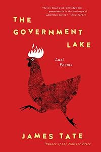 The Government Lake: Last Poems – Absurdist Prose Poetry with Dark Humor and Lyrical Mastery