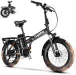 Folding Electric Bike,750W Motor(Pe