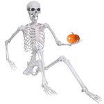 Halloween Skeleton Decor,5.4ft Life Size Skeleton Posable Skeleton with Artificial Pumpkin Full Body Human Skeleton for Halloween Decorations