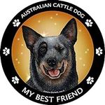Australian Cattle Dog Best Friend C