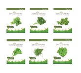 GIFTONETREE Easy to Grow 6 Herb Seeds Combo | Celery, Oregano, Thyme, Lettuce, Parsley And Rocket | Best Gift for Gardeners and Plant Lovers (Herb Seeds Combo)