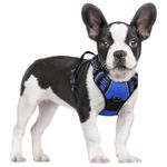 rabbitgoo Dog Harness No Pull with 2 Leash Clips, Adjustable Soft Padded, Reflective Oxford No Choke Pet Vest with Easy Control Handle for Small Dogs, Dazzling Blue, S