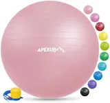 APEXUP Yoga Ball Exercise Ball, Ant