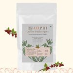 CO.PHI La Dolce Vita, 100% Arabica, Specialty Ground Coffee, 930g, Cold Brew, Shade Grown, Roasted, Taste Notes - Chocolate, Caramel, Malt, Washed Processing, No Chicory, Bag, Coffee Philosophy