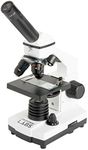 Celestron – Celestron Labs – Monocular Head Compound Microscope – 40-800x Magnification – Adjustable Mechanical Stage – includes 2 Eyepieces and 10 Prepared Slides