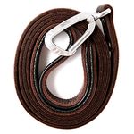 Mighty Paw Leather Dog Leash for Large Dogs - Soft Padded Handle - Extra D-Ring for Waste Bags - Strong Climbers Clip - 6 Ft Leash Leather - Leather Dog Leashes for Large Dogs - Leather Lead - Brown