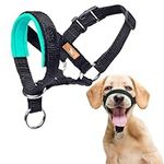 wintchuk Dog Head Collar with Soft 