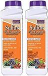 BONIDE Product 141 Sulfur Plant Fun