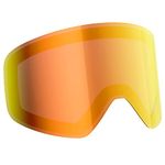 The Snowboarding Goggles