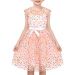 Sunny Fashion Girls Dress Pink Rainbow Polka Dot Pleated Tulle Party Gown Sleeveless Age 7 Years