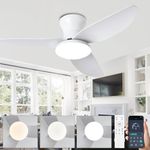 Indoor Ceiling Fans with Lights and Remote, Ceiling Fans with Lamps Silent 6 Speeds with Timer, 3 CCT Selectable, Reversible DC Motor, Modern Led Ceiling Fan Lights for Bedroom, Lounge-White|100CM