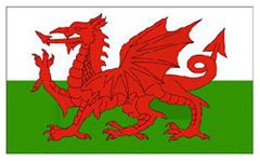 5ft X 3ft Wales Dragon National Flag