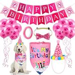 Proxima Direct Dog Birthday Bandana