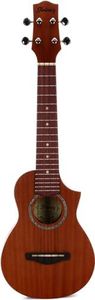 Ibanez UEW