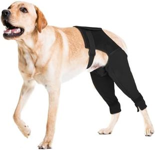 Pawfun Dog