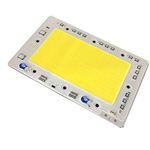 Lansan 50W 100W 150W LED Floodlight COB Chip Integrated Smart IC Driverless DIY AC 110V (150W)