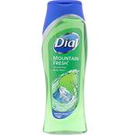 Dial Clean and Refresh Antibacterial Mountain Fresh Body Wash for Unisex, 18 Ounce