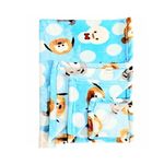 Bumtum Super Soft New Born Baby Blanket | Wrapper Sheet for Baby Boys & Baby Girls | Teddy Pattern Lightweight | Super Comfortable (100cm x 75cm, Blue)