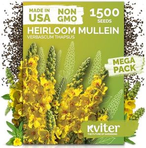 KVITER 1,500 Mullein Seeds for Planting (Verbascum Thapsus) – Mullein Herb, Heirloom Seed Non GMO – Ideal for Herb Garden – US Grown Herbs Flower Seeds