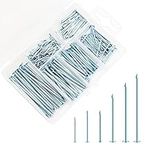 250 PCS Assorted Nails for Wood Hardware Assorted Nails Set Galvanized Flat Head Nails 6 Sizes Wall Nails for Hanging Picture Frame Mirror Woodworking