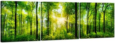 Forest Canvas Wall Art Decor - 3 Panel Tree Filled Print Photograph, Large Decorative Painting Wall Art for Living Room, Kitchen, Bedroom, Office, Modern Home Decor, Gift for Men & Women 24" x 72"