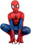 Marvel Spider-Man Official Youth De